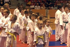 30 de medalii pentru SCM- Palatul Copiilor