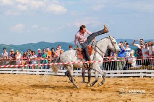 RUNCU: Show-uri ecvestre unice la Haidook Summer Fest 2018 (15, 16, 17 iunie)