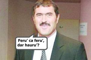 Nici regii nu mai sunt ce-o fost …