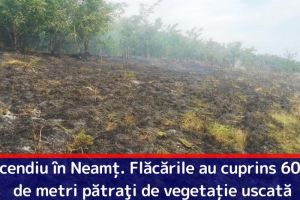 Incendiu în Neamţ. Flăcările au cuprins 6000 de metri pătraţi de vegetaţie uscată