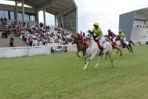 Reuniune cu număr record de cai