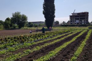 Ce au mai facut angajatii SGU prin Ploiesti. Raportul ultimei saptamani
