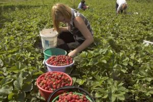 TRAGEDIE ÎN AUSTRIA! Un român a murit după ce a muncit până la epuizare