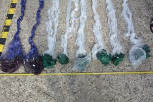 28 de kilograme de peşte şi 185 de unelte de pescuit, confiscate de poliţişti