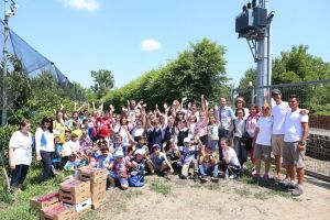 PREȘCOLARII ȘI ȘCOLARII DIN JUDEŢUL CĂLĂRAŞI AU FOST PREMIAŢI!