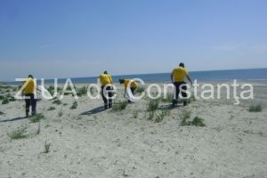 Actiunea 5S Public, la Constanta: Spatiile publice din Romania, ecologizate stil japonezActiunea 5S Public, la Constanta: Spatiile publice din Romania, ecologizate stil japonez