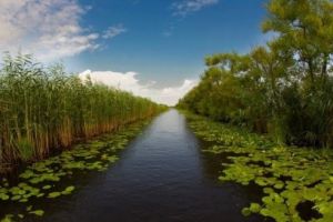 Atenţie pescari: o regiune importantă permite acum pescuitul sportiv şi cel comercial