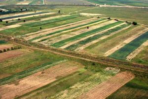 Veşti bune pentru proprietarii de terenuri agricole din cinci localităţi sibiene