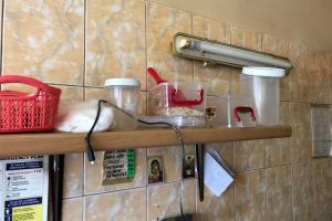 Control la o patiserie din Constanta. Incredibil ce au descoperit comisarii CJPC Constanta. Patiseria aprovizioneaza doua gradinite din Constanta (galerie foto)