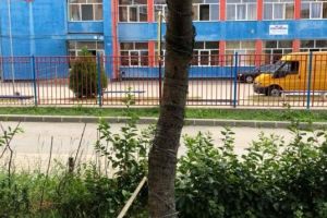 FOTO/ ȘTIREA TA: Sârma ghimpată, soluţia locatarilor unui bloc pentru a-şi proteja vişinul de ”pofticioşii” care îi dau târcoale