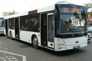 Toate troleibuzele 102 şi 104 vor avea capăt de linie la Grădina Publică