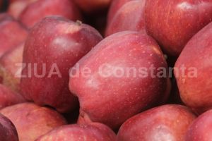 Marul este gustarea ideala si contine multe vitamine 