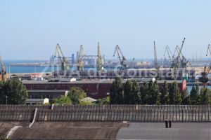 Licitatie la CN APM: Cine se va ocupa de intretinerea spatiilor verzi si a parcurilor din Portul Constanta 