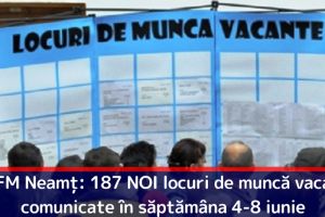 AJOFM Neamţ: 187 NOI locuri de muncă vacante, comunicate în săptămâna 4-8 iunie