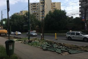 Continua lucrarile in zona Marasti: a fost doborat un copac, pe aviz scrie ca se pot taia 5