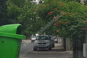 Angajaţii salubrităţii târgoviştene, mobilizaţi pentru miting! Mesajul suporterilor Chindiei pentru aceştia