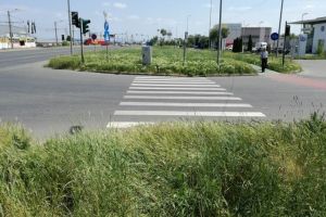 Din ciclul „Aradul, Caracalul Vestului”: Azi, o altfel de trecere pentru pietoni