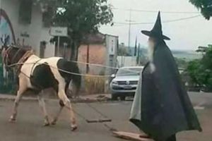 Nebuniile planetei. De la CIUDAT la TERIFIANT, NORMALUL nu are ce căuta aici... Colecţia celor mai BIZARE ipostaze.  - Galerie FOTO