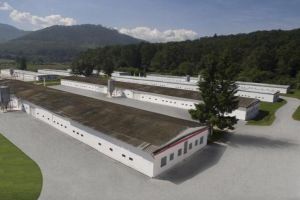 Compania Transavia primeşte certificarea exclusivă în România, Global G.A.P. pentru produsele sale