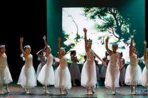 DANUBIU BALET CĂLĂRAȘI – PETRUSHKA