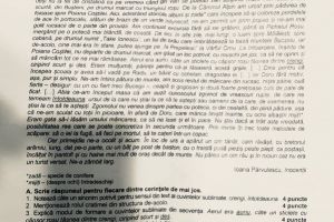 Evaluare Naţională 2018: Subiecte la limba şi literatura română pentru absolvenţii clasei a VIII-a