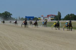 Over Jet a căştigat cursa cu cei mai mulţi cai