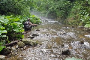 Open Iad: 20 de pescari au prins 900 de peşti, la un concurs pe Valea Iadului (FOTO)