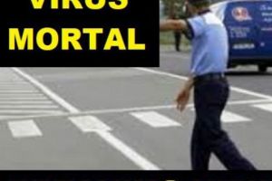 Panică în România! Drumuri închise pe o rază de 10 km. VIRUSUL TERIBIL a mobilizat autorităţile