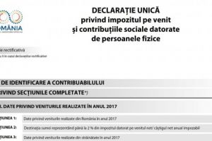 Cum să depui online Declaraţia unică la ANAF