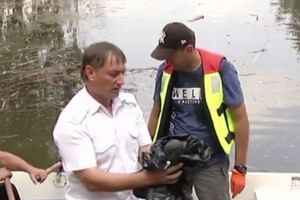 Dezastru ecologic în Capitală. Sute de păsări au murit după ce au mâncat otravă pentru şobolani