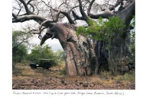 ROMÂNII care CERCETEAZĂ marele MISTER al NATURII. Povestea unei EXPEDIȚII cu final TRAGIC în Africa