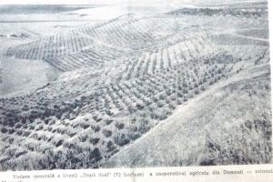 Răsfoind presa de altădată (59): Două “făbrici” vasluiene