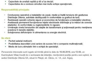 Distribuţie Oltenia angajează