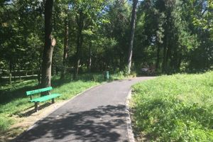 Vom avea iluminat inteligent, controlat de la distanta, in Botanic. Primaria vrea fonduri UE