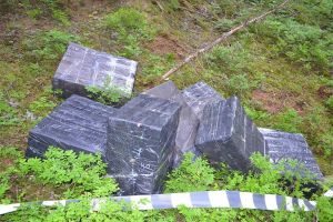 Ţigări de contrabandă abandonate lângă graniţa româno-ucraineană