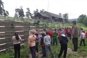 Cai de rasă, pepiniere şi frumuseţea naturii, admirate de copii, în Ziua Porţilor Deschise ...