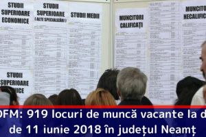 AJOFM: 919 locuri de muncă vacante la data de 11 iunie 2018 în judeţul Neamţ