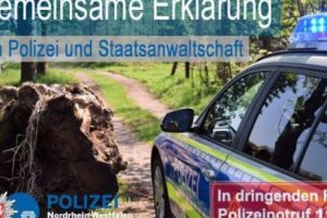 Românii sunt urmăriţi şi omorâţi prin parcurile din Germania. Criminalii sunt turci sau africani. Este vorba despre ură de rasă? 