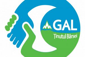 Apel de selecţie prelungit al proiectelor conform eratei nr.B231 din 25.05.2018