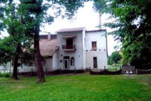 Bursa pariurilor: In cat timp se va prabusi fostul sediu al Clubului Minaur?