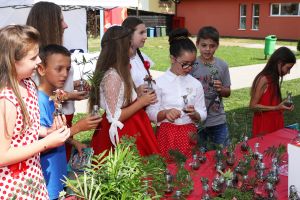 Comuna Frumuşeni este de astăzi „smart village”