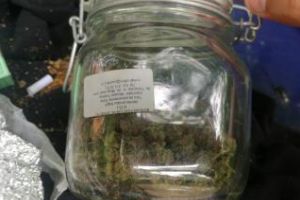 Tineri prinşi cu droguri asupra lor, în Pădurea Hoia-Baciu. Jandarmii au ridicat un borcan plin cu muguri de cannabis FOTO