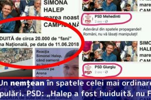 Un nemţean în spatele celei mai ordinare manipulări. PSD spune că 20 de mii de oameni au huduit-o pe Simona Halep