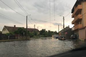 PRĂPĂD în Arad, în urma FURTUNII de azi-noapte: INUNDAŢII şi DISTRUGERI! În unele locuri NU SE POATE CIRCULA (FOTO)