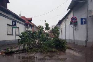 Vijelia abătută peste Oradea a inundat străzi şi a doborât copaci cu nemiluita