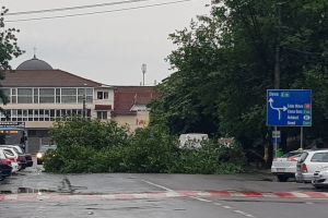 Furtună peste Oradea: Ploaia şi vijelia au inundat străzi şi au doborât copaci cu nemiluita (FOTO/VIDEO)