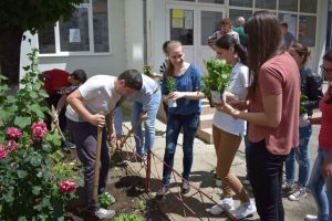Studenţii şi elevii plantează în campania Iubim Sibiul, să-l lăsăm să respire!