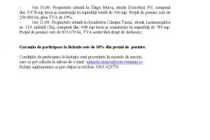 Anunţ licitaţie – E.ON