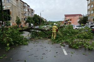 40 de apeluri la 112 după furtuna din Oradea: Doi copaci doborâţi de furtună au aterizat pe maşini