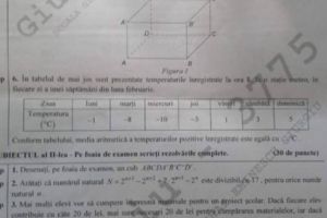 Subiecte Evaluare Nationala, proba de Matematica